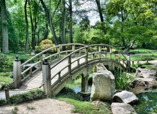 Jak zaprojektować swój ogród?