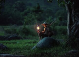 Jaka jest najlepsza lampa do hybryd?