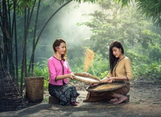 Co teraz siać? Co teraz siać?