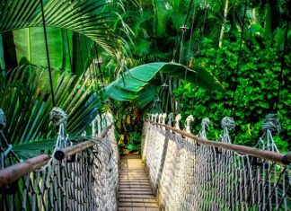 Ile kosztuje kurs na opalanie natryskowe?